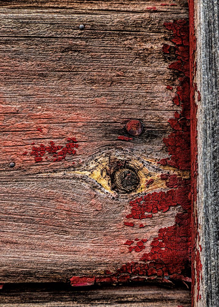 USA, Palouse, Washington State. Wood pattern.